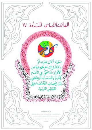 القانون الأساسي المادة ١٧