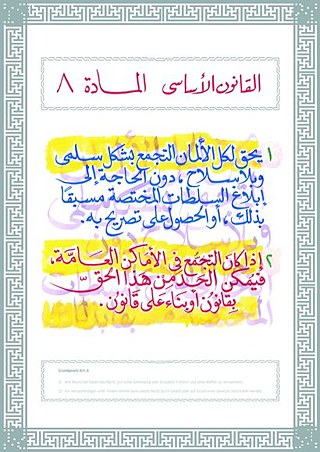 القانون الأساسي المادة ٨