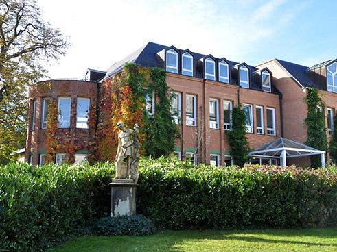 Goethe institut freiburg