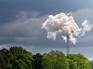 “Klimakatastrophe” (Climate catastrophe) – Word of the Year 2007