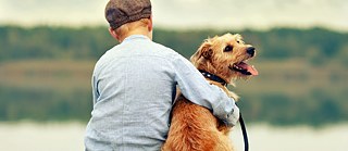 Mischlinge sind die beliebtesten Hunde