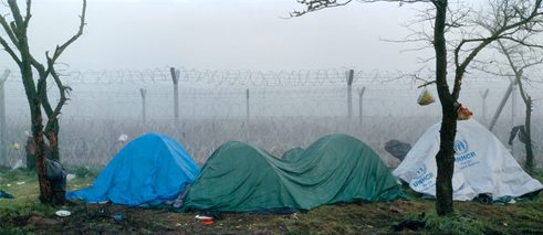 Focus Topic: Displacement