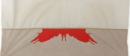 Igshaan-Adams, Plate 6 from the series Neoscope (2014) 