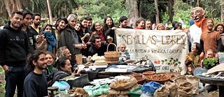 Intercambio de semillas en Limache, V Región, Chile