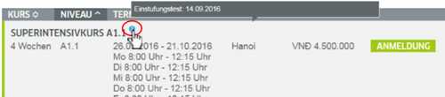 Einstufungstest DE