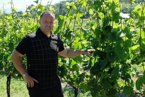 Tomáš Loukota, Schlossweingut Třebívlice
