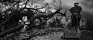 Wohin? 21 Fragen zu Flucht und Migration