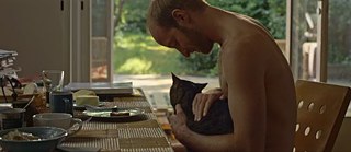 Elokuvasta: Kater (Tomcat)