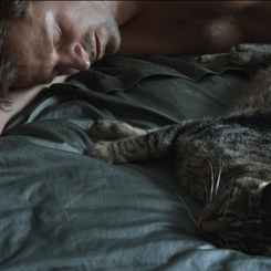 Veranstaltungskalender Redaktionell