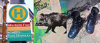 Three of the 16 prize-winning DACHL finds 