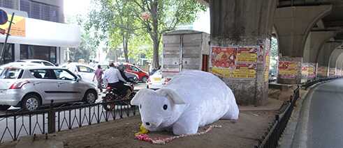 The White Rabbit