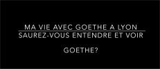 Ma vie avec Goethe à Lyon