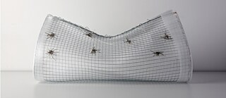 ‘일곱 개의 별’, 2016, 30x63x34 cm.