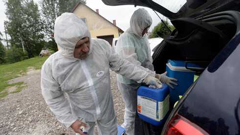 2014 verhängte Lettland wegen der Schweinepest den Ausnahmezustand