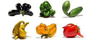 ULI WESTPHAL: "Ausgezeichnet"