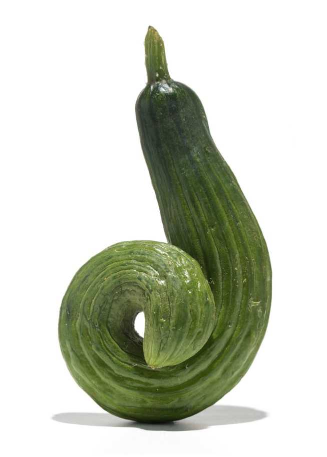 Okurka