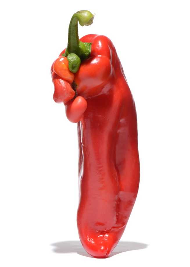 Paprika