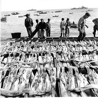 Leonore Mau | bez názvu, 1964 Sesimbra 