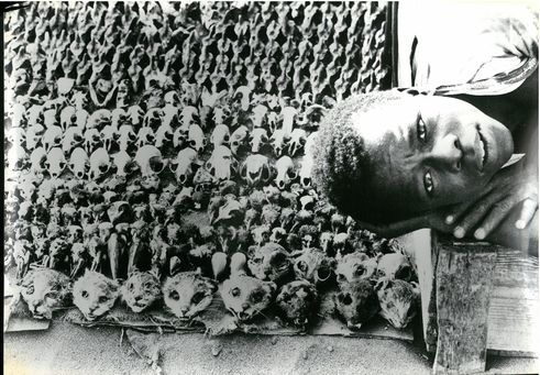 Leonore Mau | Zaubermarkt bei Lomé, 1975 | Togo	