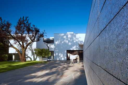 Alexander Brenner | SU House