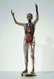 Gläserne Frau, 1995