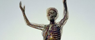 Gläserne Frau, 1995