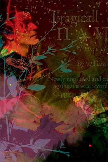 Book of Images 14. Digital Print on Archival Paper 14.5x18 Edition of 7, 2012