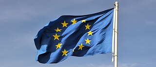 Wohin gehst du Europa?