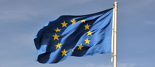 Wohin gehst du Europa?