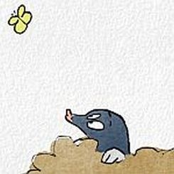 Der Maulwurf und der Regenwurm