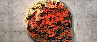 JAN ALBERS: flOtatiOn