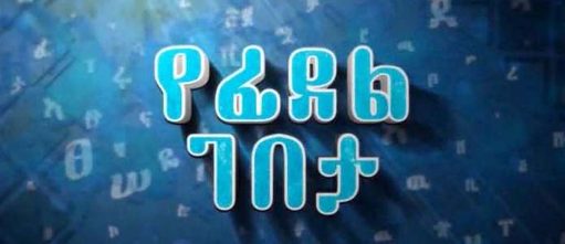 Andemta  - Book on TV 