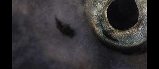 EAT MY DREAM © EAT MY DREAM // Foto: © Filmuniversität Babelsberg 2015 EAT MY DREAM