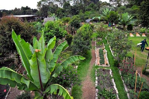 Jardín botánico en Bogotá