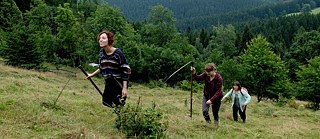 V zajetí vůně pokosené trávy