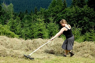 V zajetí vůně pokosené trávy