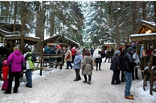 Schweinehütter Weihnachtsmarkt