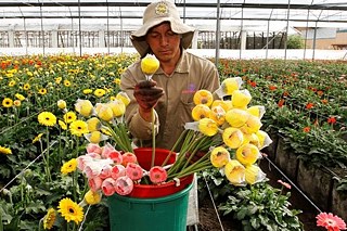 Medellín – Bilder von der Renaissance einer Stadt