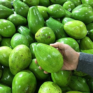 Berlin und Bogotá: Visuelle Verwandtschaften