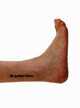 „© by Timm Ulrichs“ auf seinem rechten Unterschenkel (2005)