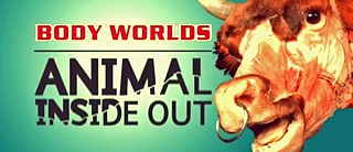 Hackathon: There is a better way