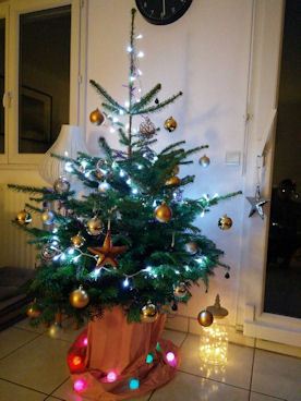 Léon, l'arbre de Noël, que Louise, de Paris, a pris chez elle