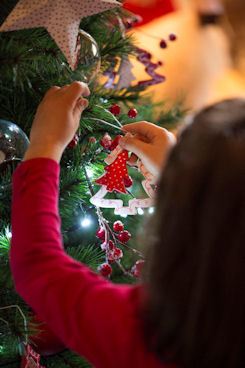 Décorer des sapins vivants fait toujours aussi plaisir