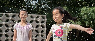 Ente gut - Mädchen allein zu Haus