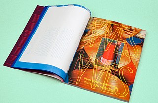 Flaneur (3) – Rue Bernard (Montreal)