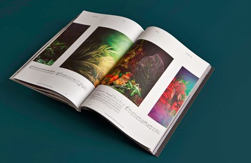 Flaneur (2) – Georg-Schwarz-Straße (Leipzig)