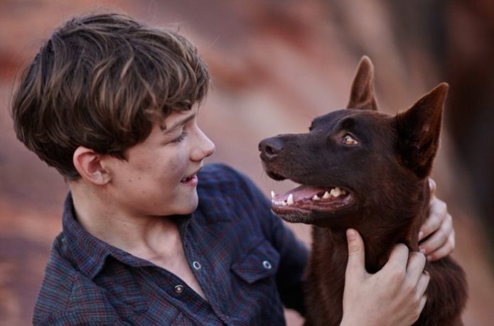 Red Dog: True Blue mit Levi Miller als Mick.