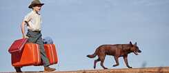 Red Dog: True Blue läuft im Berlinale Programm Generation Kplus.