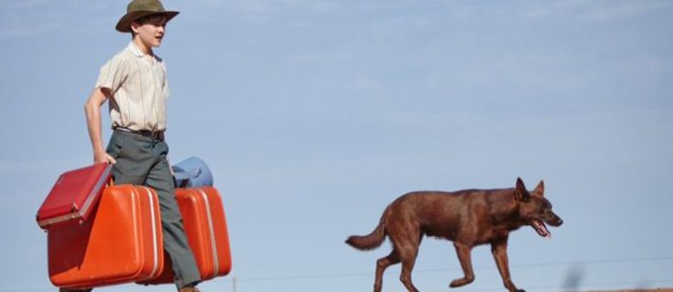 Red Dog: True Blue läuft im Berlinale Programm Generation Kplus am 10., 11., 12. und 16. Februar.