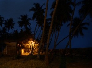House & trees - H.C.Schink © © Hans-Christian Schink House & trees - H.C.Schink